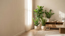 How to Save a Dying Indoor Plant Step by Step in Saudi Arabia Homes