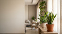 Low Maintenance Indoor Plants for Busy People in Saudi Arabia Homes