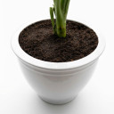 Ceramic Planter Pot