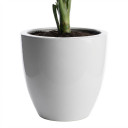 Ceramic Planter Pot