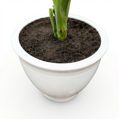 Ceramic Planter Pot