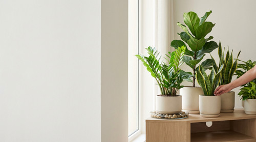 How to Care for Indoor Plants During Extreme Summer Heat in UAE Homes