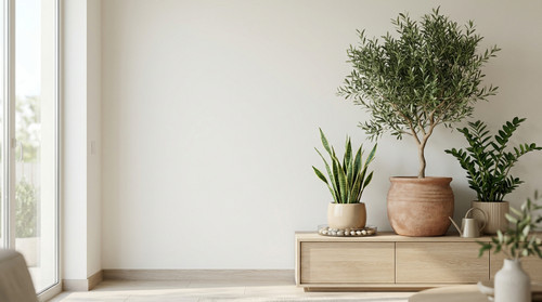 كيفية العناية بالنباتات الداخلية خلال حرارة الصيف في منازل الإمارات