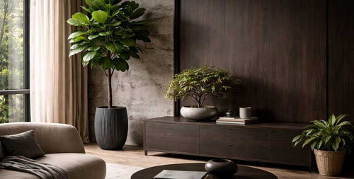 ما الذي تحتاجه النباتات الداخلية فعليًا للبقاء في المنازل في منازل المملكه العربيه السعوديه