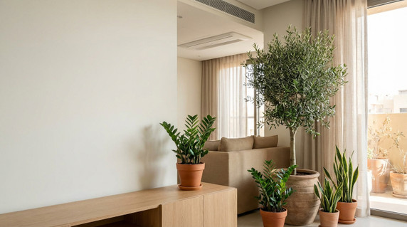 How Indoor Plants Behave Differently in Hot Climates in Iraq Homes