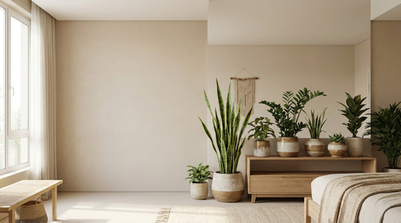 Indoor Plants That Don’t Require Constant Attention in UAE Homes