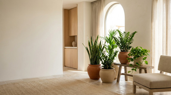 Indoor Plants That Don’t Require Constant Attention in Saudi Arabia Homes