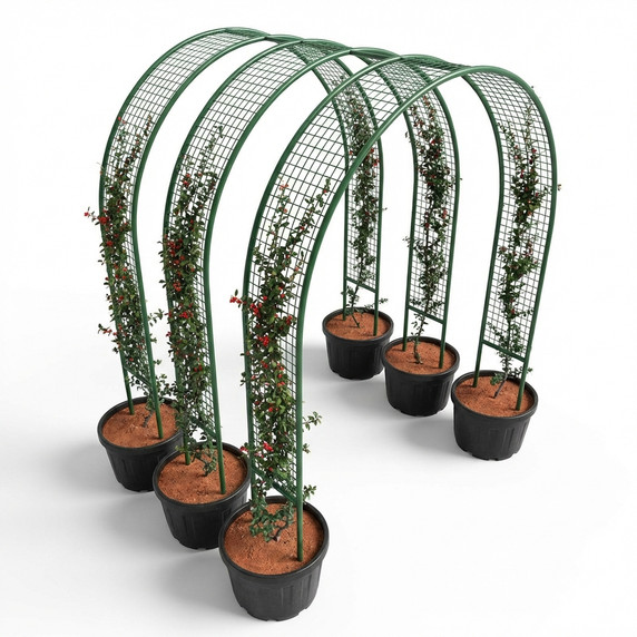 Green Metal Cylindrical Plant Guard