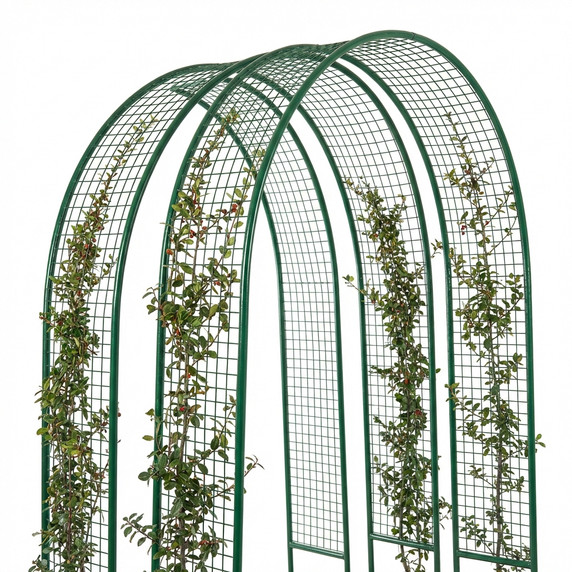 Green Metal Cylindrical Plant Guard