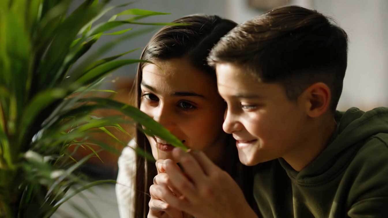 Learn how to care for your succulents