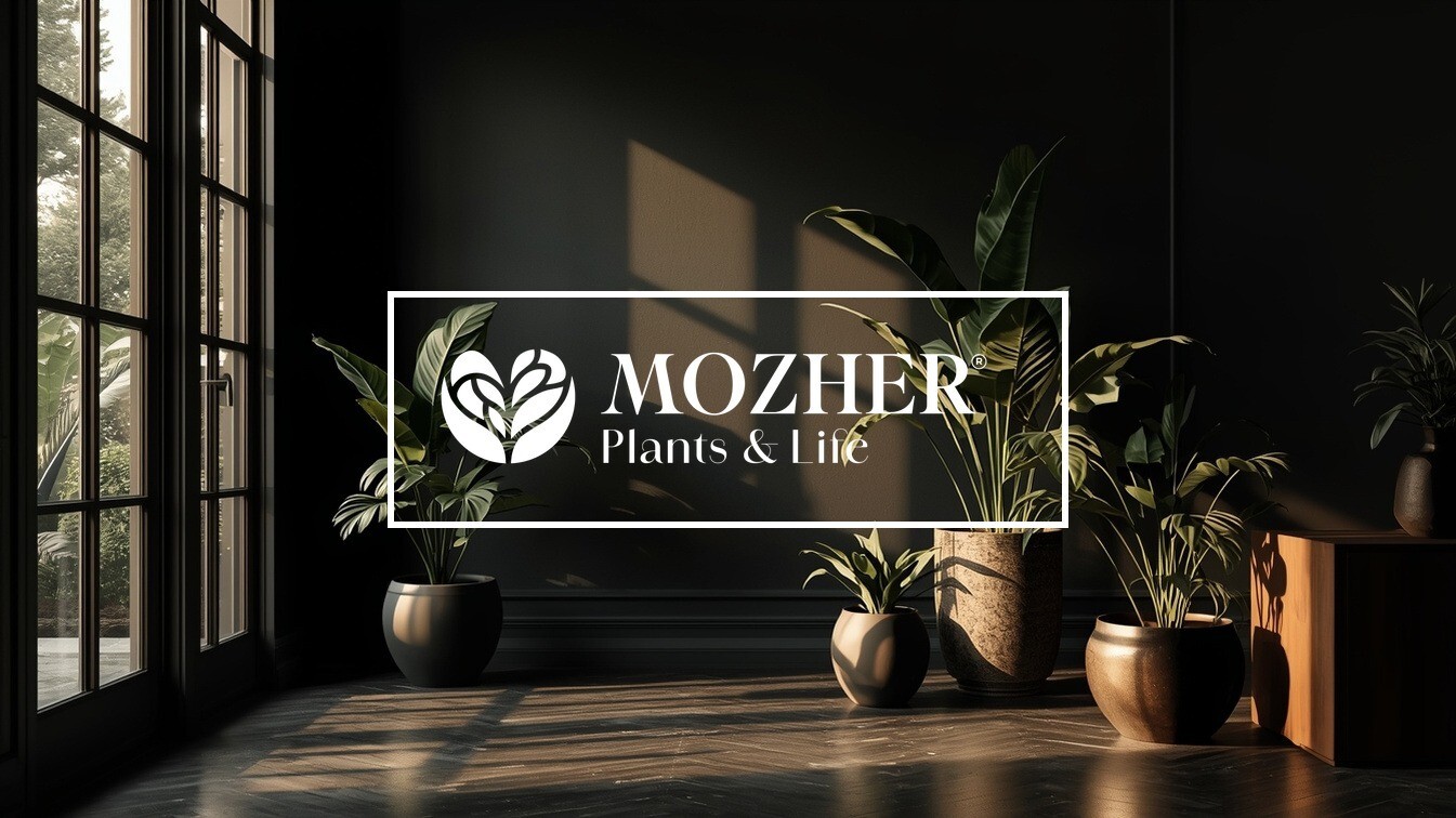 A premium brand image for Mozher&rsquo;s About page featuring a dark, elegant interior with curated indoor plants and the Mozher logo framed in a subtle white outline. Designed to communicate calm, luxury, and refined living.