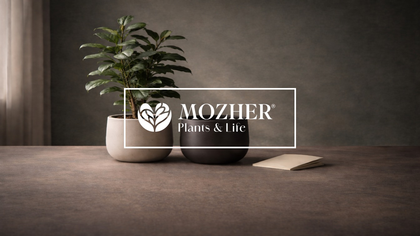Learn about Mozher&rsquo;s 7-day returns policy. Store credit returns with photo evidence, no questions asked. Designed to protect trust and customer confidence.