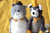 Moulin Roty Soft Toy Fernand the cat Les Moustaches Moulin Roty Moulin Roty Soft Toy Fernand the cat Les Moustaches Moulin Roty