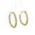18K Yellow Gold Approximately 1.0ct tw Diamond Hoop Earrings 18K Yellow Gold Approximately 1.0ct tw Diamond Hoop Earrings