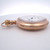 1902 Illinois Watch Co. 17j 16s Grade 186 Railroad Pocket Watch (B24305 EH)