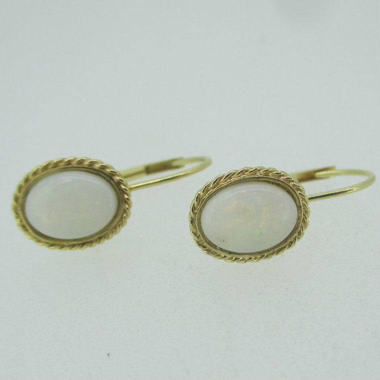 14k Yellow Gold Natural Oval Lever Back Earrings 