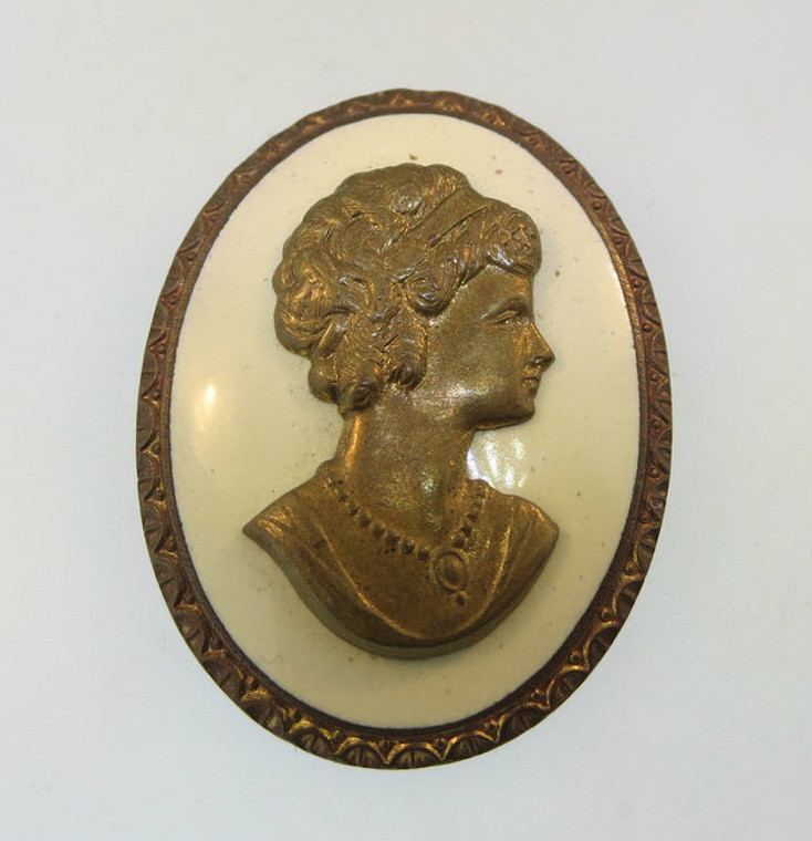 Vintage Costume Cameo Pin on a Enamel Back