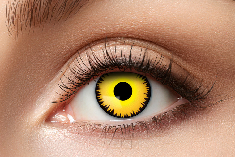 Fantasie Kleurlenzen Leeuw Fantasie Kleurlenzen Leeuw