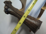 USA 6.3 x 3.2 ELK STAG ANTLER SCALE SLAB KNIFE MAKING HANDLE GRIP BLANK PAIR