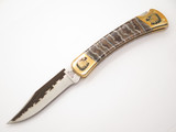 Custom Brian Yellowhorse Buck 110 Eagle Engraved Lockback Folding Hunter Knife