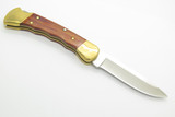 Buck Custom 110 USA Folding Hunter Drop Point Fingergroove Handle Lockback Knife
