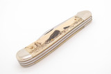 Vintage 1999 Case XX 6249 Moby Dick Copperhead Smooth Bone Folding Pocket Knife