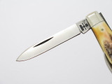 Vtg 1980 Case XX 52042 Stag Small Gentleman Folding Pocket Pen Knife