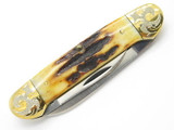 1980 Case XX 52131 Canoe 2 Blade Stag Folding Pocket Knife Gold Scroll