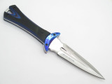 Buck 234 0234BKSLE Glint Custom Limited Fixed Blade Dagger Knife & Display Nice!