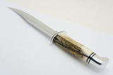 Vtg 1982 Buck 119 Special Custom Shop Fixed Blade Sambar Stag Hunting Knife
