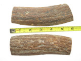 USA 5.6 x 1.9 ELK STAG ANTLER KNIFE MAKING HANDLE SCALE PISTOL GRIP BLANK SLAB