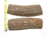 USA 5.6 x 1.9 ELK STAG ANTLER KNIFE MAKING HANDLE SCALE PISTOL GRIP BLANK SLAB