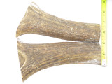 USA 6.43 x 1.81 ELK STAG ANTLER KNIFE MAKING HANDLE SCALE PISTOL GRIP BLANK SLAB
