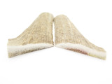 USA 7 x 1.6 ELK STAG ANTLER KNIFE MAKING HANDLE SCALE PISTOL GRIP BLANK SLAB