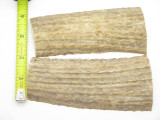 USA 5 x 1.93 ELK STAG ANTLER KNIFE MAKING HANDLE SCALE PISTOL GRIP BLANK SLAB