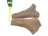 USA 5.75 x 1.75 ELK STAG ANTLER KNIFE MAKING HANDLE SCALE PISTOL GRIP BLANK SLAB