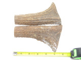 USA 6.25 x 1.56 ELK STAG ANTLER KNIFE MAKING HANDLE SCALE PISTOL GRIP BLANK SLAB