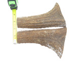 USA 6.25 x 1.56 ELK STAG ANTLER KNIFE MAKING HANDLE SCALE PISTOL GRIP BLANK SLAB