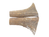 USA 6.25 x 1.56 ELK STAG ANTLER KNIFE MAKING HANDLE SCALE PISTOL GRIP BLANK SLAB