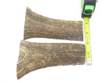 USA 5.5 x 1.93 ELK STAG ANTLER KNIFE MAKING HANDLE SCALE PISTOL GRIP BLANK SLAB