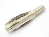Vtg 1978-82 Parker Brothers Eagle K126 Imai Seki Japan Stag Folding Pocket Knife