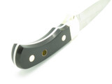 Vtg 1981 Puma 6025 Nicker Solingen Germany Fixed Blade Hunting Knife In Box