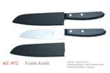 Kanetsune Seki Japan KC-072 Stainless Steel 110mm Kitchen Cutlery Fruit Knife