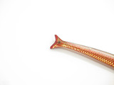 Vintage 1950s Yasuo Imai Seki Japan Red Fish 5" Folding Pocket Knife