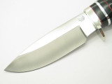 Buck 192 Vanguard ATS-34 Custom Shop Buffalo Horn Fixed Blade Hunting Knife