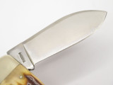 Vtg 1976 Virginia Bicentennial Stag Sunfish Toenail Folding Knife & Case