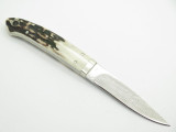 Seizo Imai Seki Custom Loveless Caper Sambar Stag & VG-10 Damascus Fixed Knife