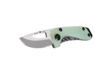 Buck 417 Budgie S35VN Blade Jade G10 Handle Framelock Folding Pocket Knife