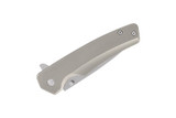 Buck 254 Odessa Flipper Stainless Framelock Folding Pocket Knife