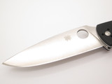 Spyderco Resilience C142GP G-10 5.25" Folder Folding Pocket Knife